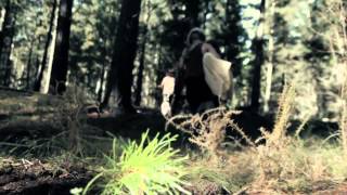 The Paper Kites - Featherstone