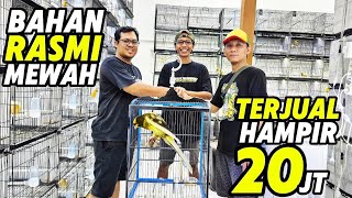 Download lagu VIRAL CANARY‼️ LUXURY NEW ARRIVAL SOLD OUT FANTASTICALLY... mp3 Download lagu VIRAL CANARY‼️ LUXURY NEW ARRIVAL SOLD OUT FANTASTICALLY... mp3