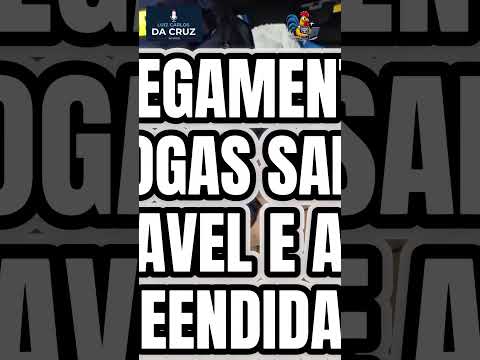 Droga sai de Cascavel e acaba apreendida em Joinviville