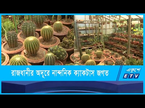 ফুলের চেয়ে কাঁটাও ভালোবাসার অন্দরে হয়ে ওঠে অনবদ্য