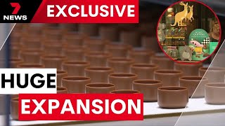 A Melbourne chocolate institution in the hunt for an Easter boom | 7NEWS