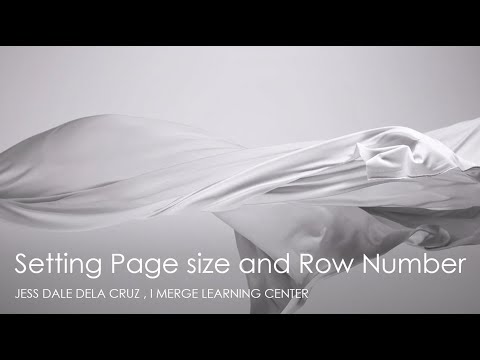 SSRS Part 2 : Setting Page Size and Row number in SSRS