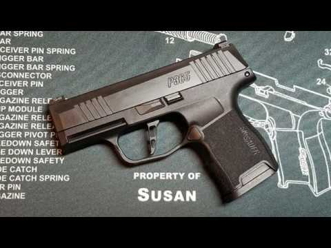 P365 With Armory Craft Flat Trigger First Dry Fire Session