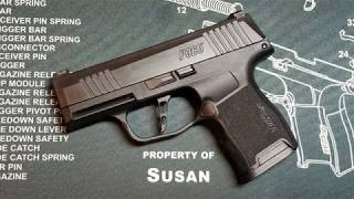 P365 with Armory Craft flat trigger -first dry fire session