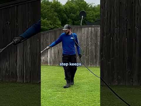 What to Look For in a Pest Control Company