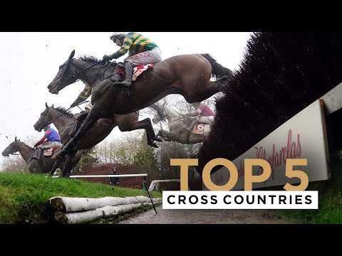 TOP 5 CROSS COUNTRY RACES AT CHELTENHAM RACECOURSE