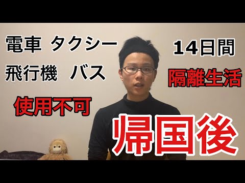 複軌線路(日本)