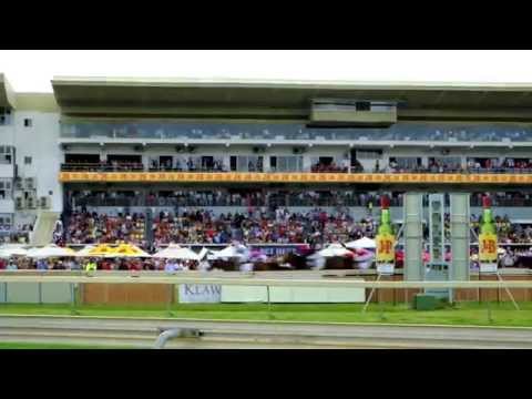 2015 J&B Met at Kenilworth Race Course