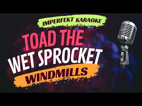 Thumbnail for Toad The Wet Sprocket karaoke - Windmills by Randy Guss