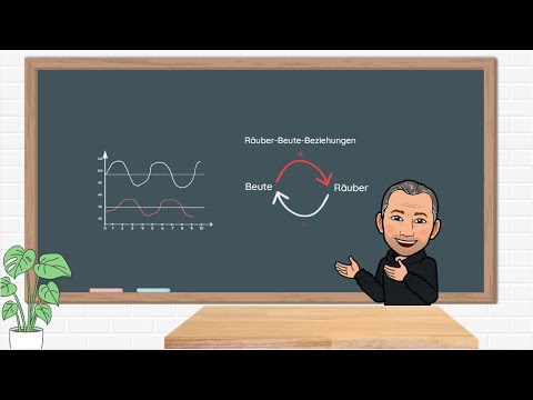 The Lotka-Volterra rules explained briefly