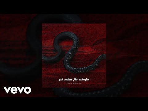 David Carreira - Já Não Te Sinto (Audio)