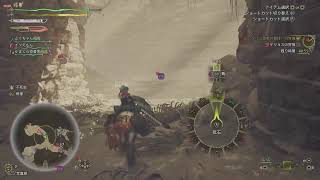 【MHW】全護石つくる【#7】