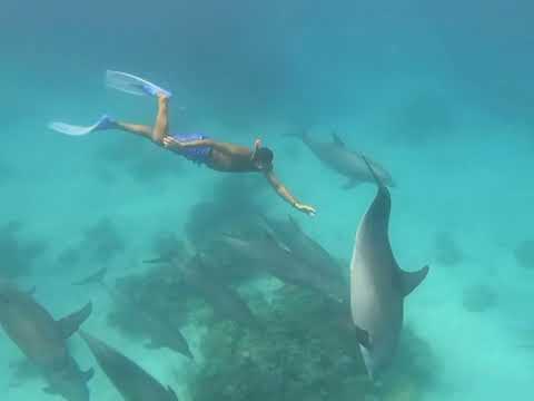 Thumbnail image for the video