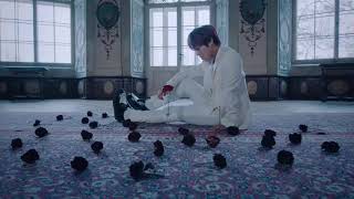 PARK JIHOON (박지훈) Dawn Moon '새벽달' Music Video MV