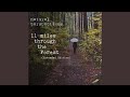 Forest Path Rainfall