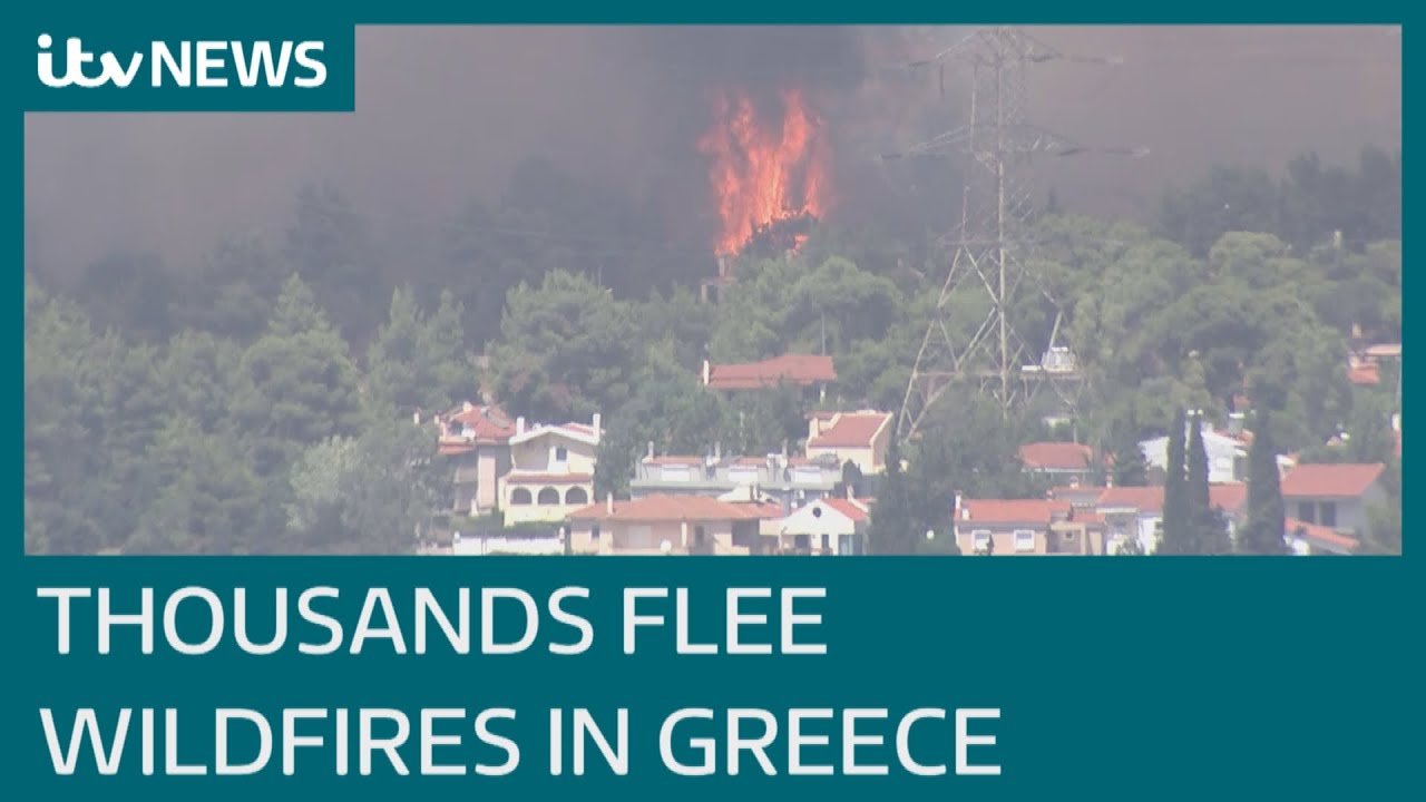 Wildfires burn through Greece for seventh day as forests and homes are destroyed | ITV News