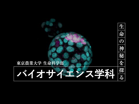 【バイオサイエンス学科】生命の神秘を探る【東京農業大学】