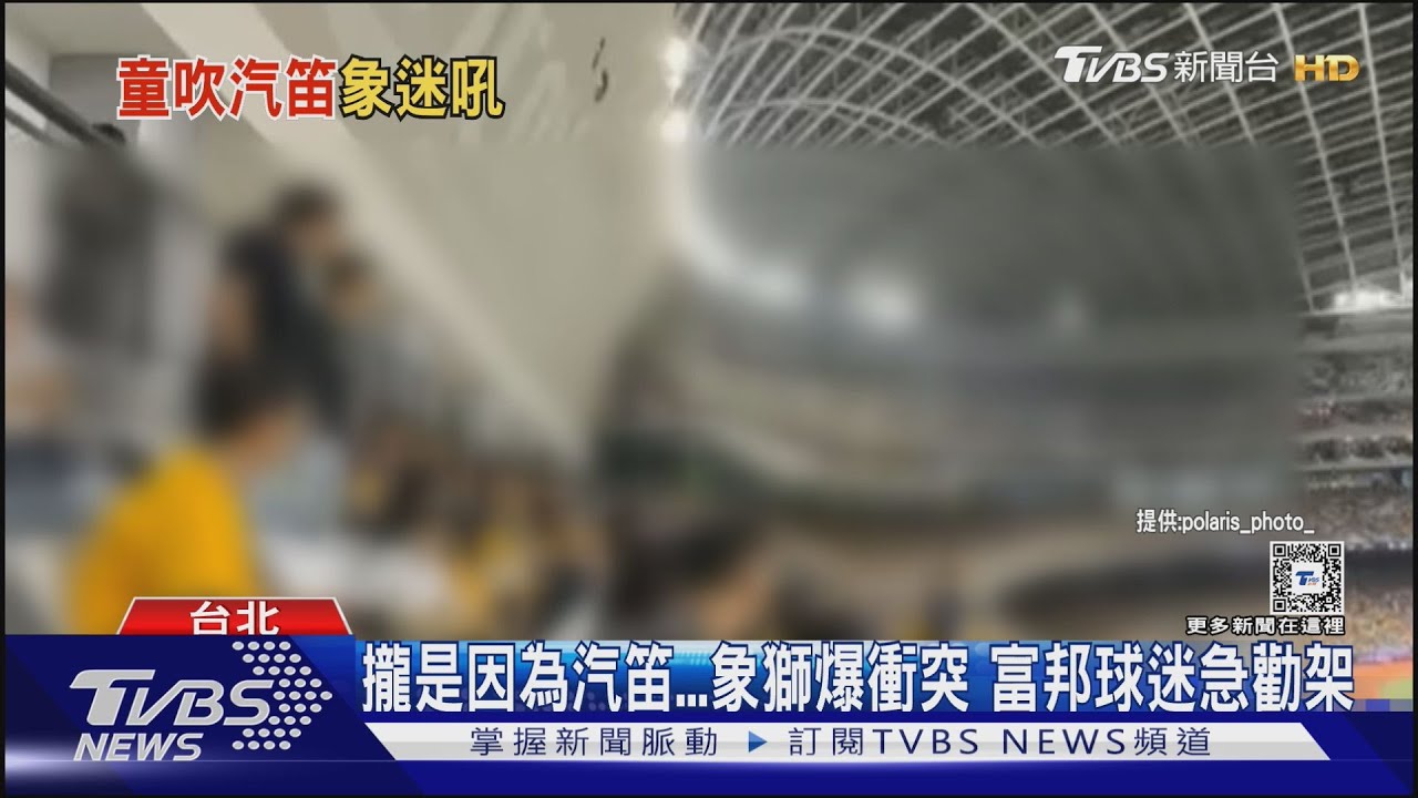 被「爪」圍繞！喵迷弟「汽笛應援」　象迷失控怒吼