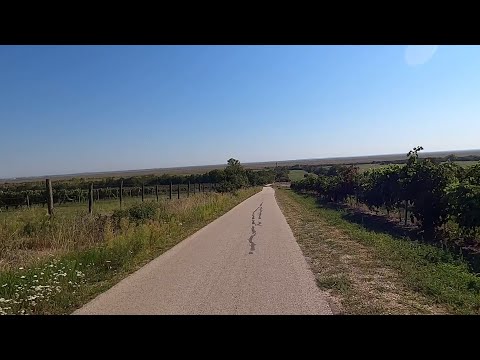 Fertő-tó kerékpártúra 2021