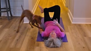 Download lagu Rabu Sehat - Pinggul! Bagaimana kabarmu? mp3