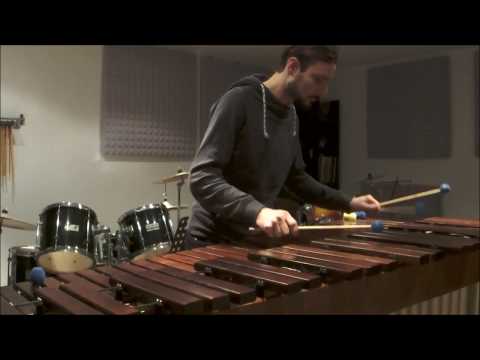Alan Walker - Faded | Marimba Cover by Alexander Schug