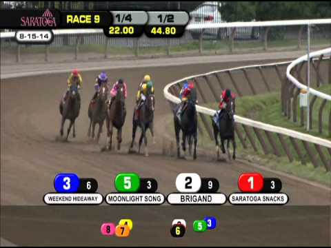 Weekend Hideaway - 2014 John Morrissey S. (NYB)