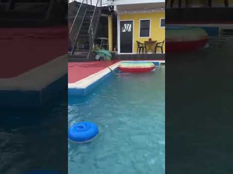 Video de Alojamiento Alicia