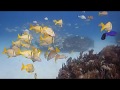 Buceo en Mahahual con Mar Adentro, Mar Adentro Diving, Mahahual (Majahual), Mexiko