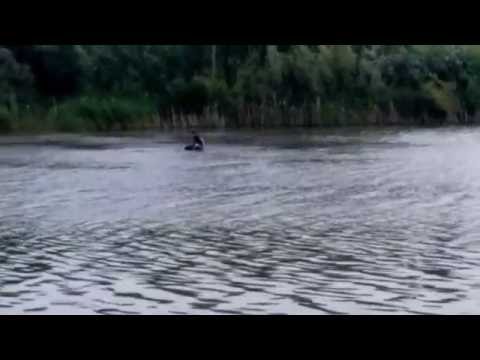 Braconaj in miezul zilei la Greaca (putu greci)