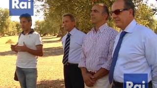 Masseria Brancati RAI 3 Visita Commissione Europea