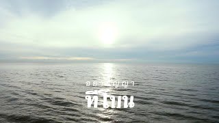 Related Event Video