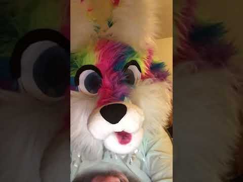 I got a new fursuit