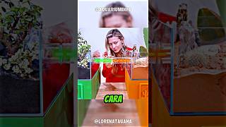 O Desafio Das 100 Dias Entre Colônias De Formigas Terminou De Um Jeito Surpreendente! 😱