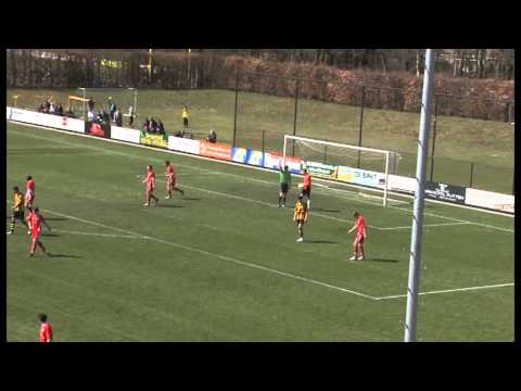 Samenvatting DVS'33 Ermelo - WHC