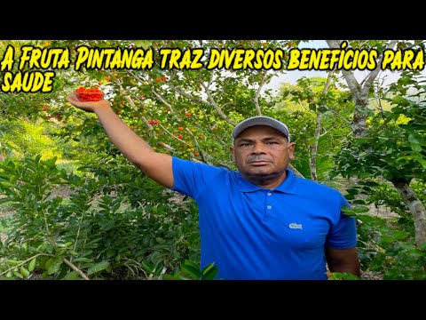 Benefícios medicinais uso da fruta pitanga