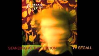 Ty Segall- Standing At The Station