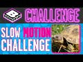 Boomerang Challenge Slow Motion Challenge Boomerang UK