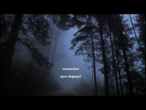 Haggard - Upon Fallen Autumn Leaves (Türkçe Çeviri)