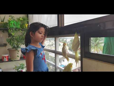 DO DIL MIL RAHE HAI # status song # SHORTS #JOJO& JASHVI