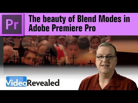 Choosing the right video production software