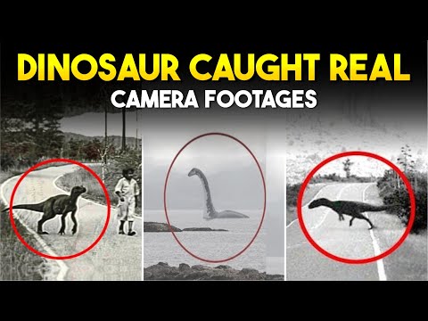 Mysterious Videos Of Dinosaur Caught On Camera | Real or Fake | Abdullah Tube