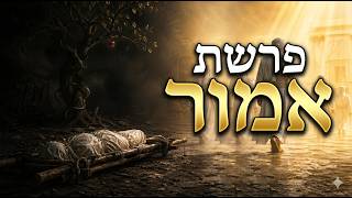 אמור | למה אסור לכהן להיטמא למתים?
