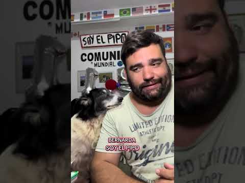 Gracias Red Bichera por Salvar a Bernarda ❤️🐾🌎