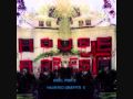 Ariel Pink's Haunted Graffiti-Flying Circles