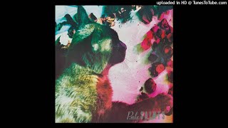 Pale Saints - Sight of You