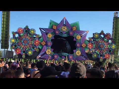 Michele Adamson - Shivaneris Festival - São Paulo (Março/2019)