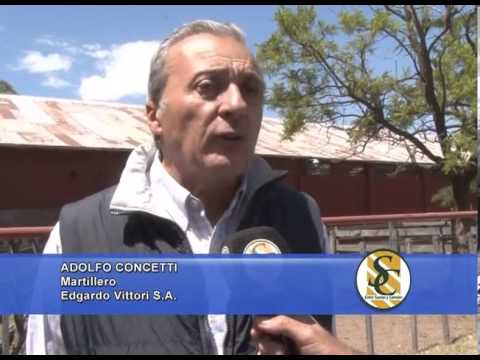 ADOLFO CONCETTI   Martillero