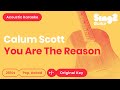 Calum Scott You Are The Reason Karaoke Acoustic