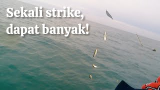 Download lagu Yang Penting Boks Penuh #mancingdibelawan mp3 Download lagu Yang Penting Boks Penuh #mancingdibelawan mp3