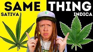 The Big Indica Vs Sativa Misunderstanding